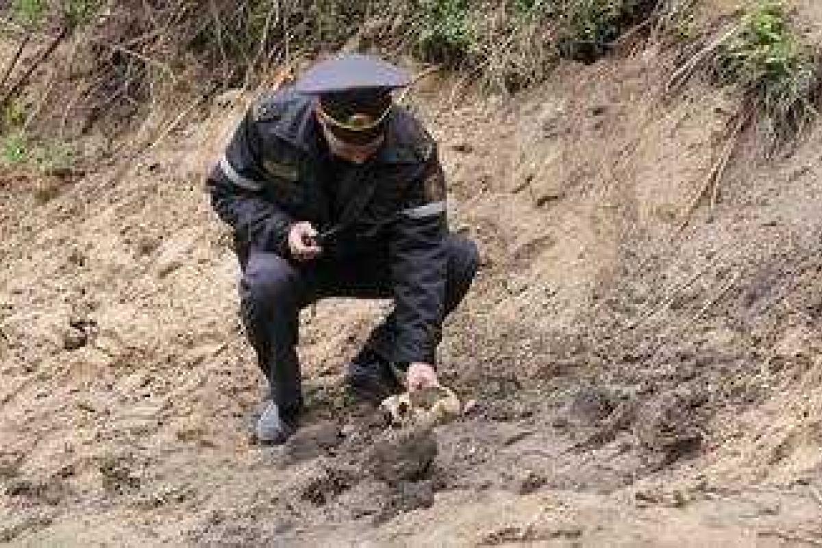 Москвич обнаружил прямо на улице человеческий скелет Москвич обнаружил прямо на улице человеческий скелет