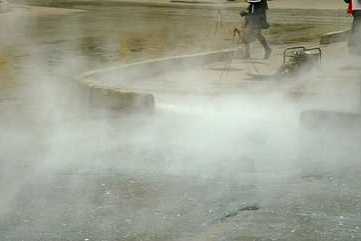 В зоомагазине Санкт-Петербурга все животные погибли страшной смертью