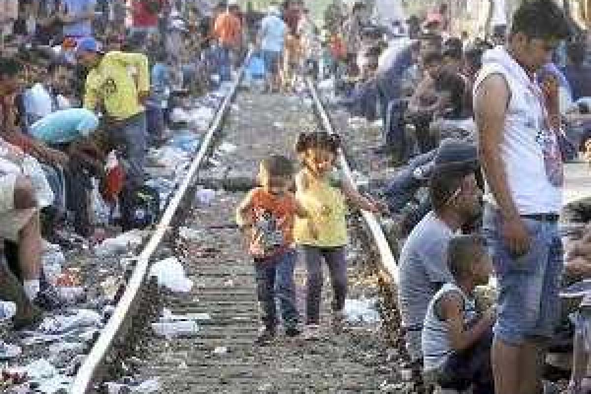 ЕС в ближайшие недели начнет массовую депортацию мигрантов ЕС в ближайшие недели начнет массовую депортацию мигрантов