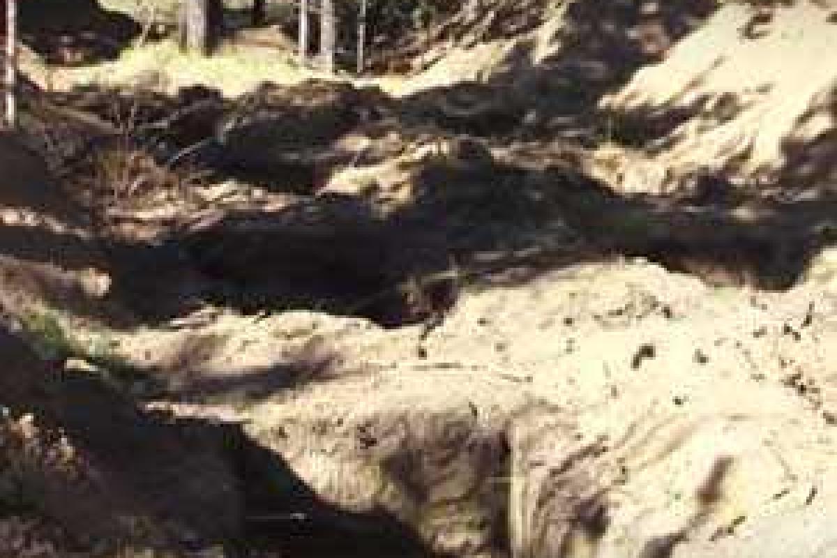 На читинском кладбище выкопали 30 могил для еще живых ветеранов ВОВ На читинском кладбище выкопали 30 могил для еще живых ветеранов ВОВ