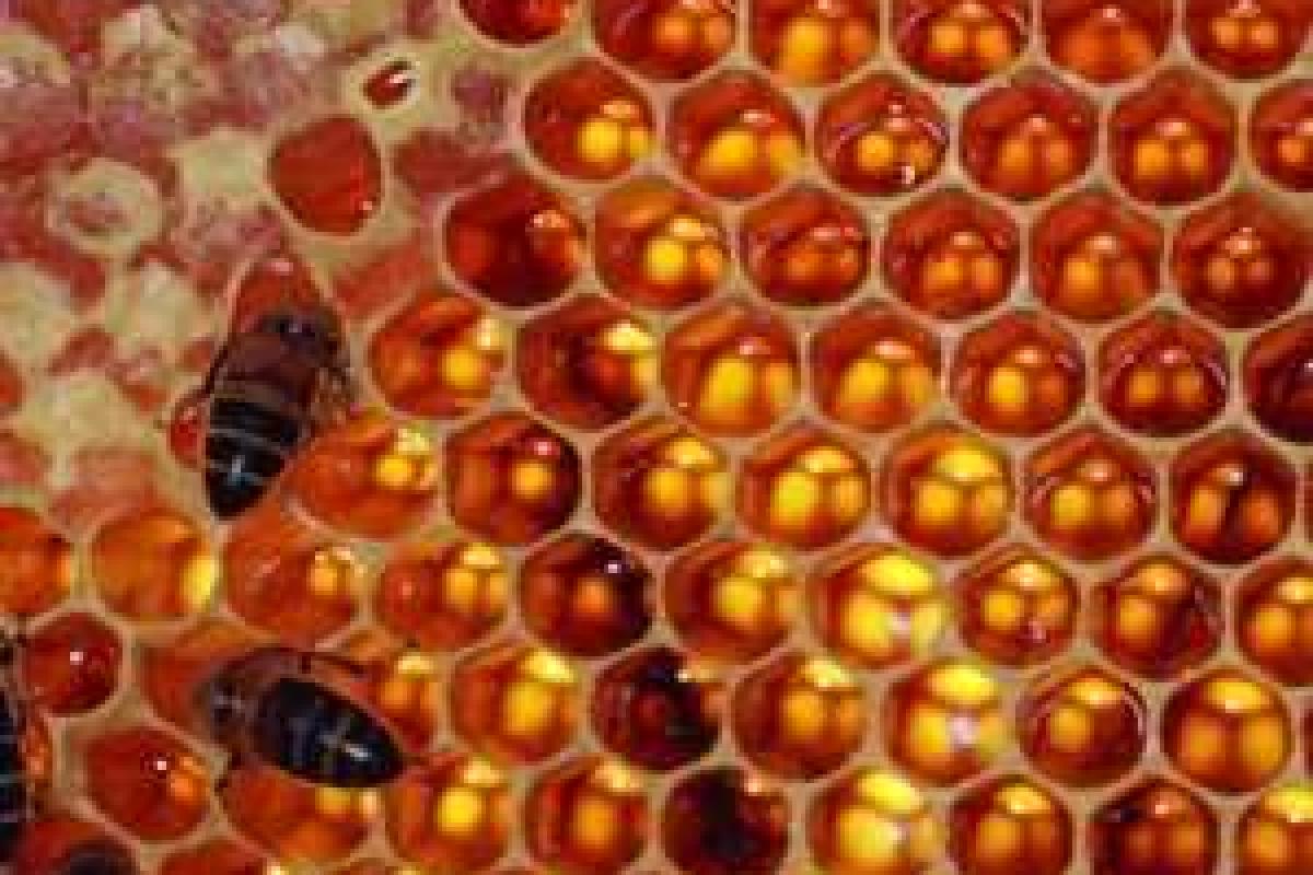 В Киеве появились 11 "новых" улиц В Киеве появились 11 "новых" улиц