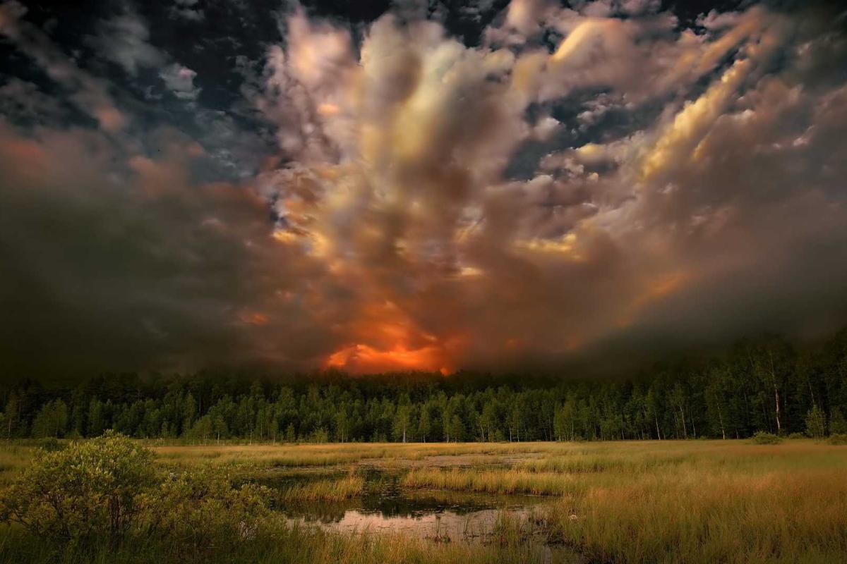 В Таиланде для борьбы с удушающим смогом подняли авиацию. Видео
