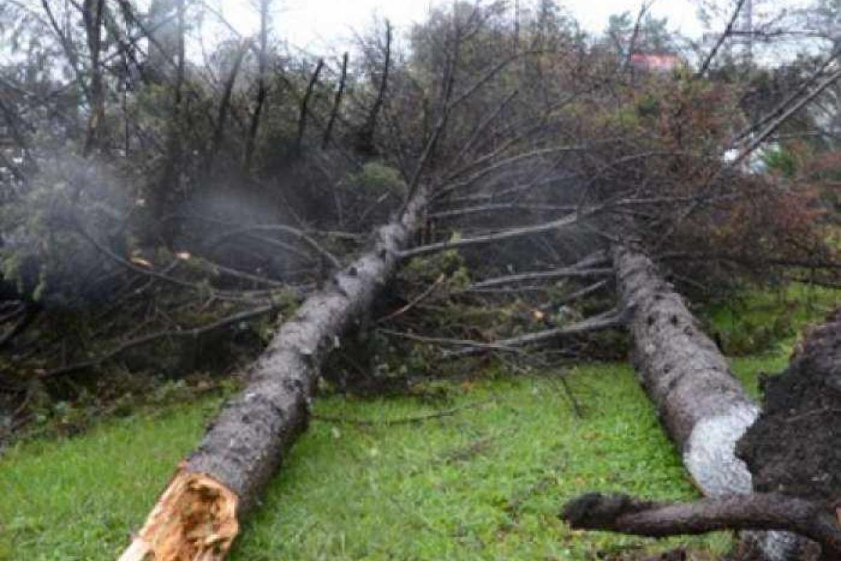 На Сахалин обрушился ураган, введен режим ЧС