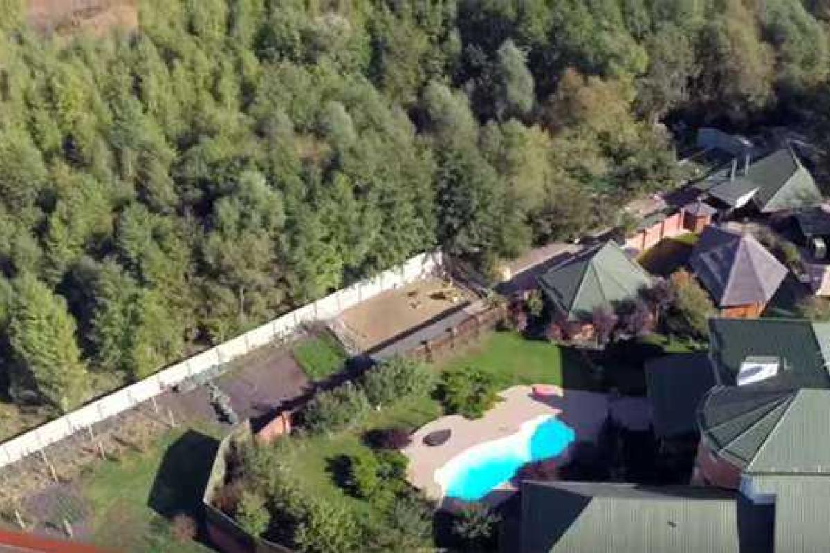 Не Межигорье, но все же: СМИ показали поместье Шокина с баранами Не Межигорье, но все же: СМИ показали поместье Шокина с баранами