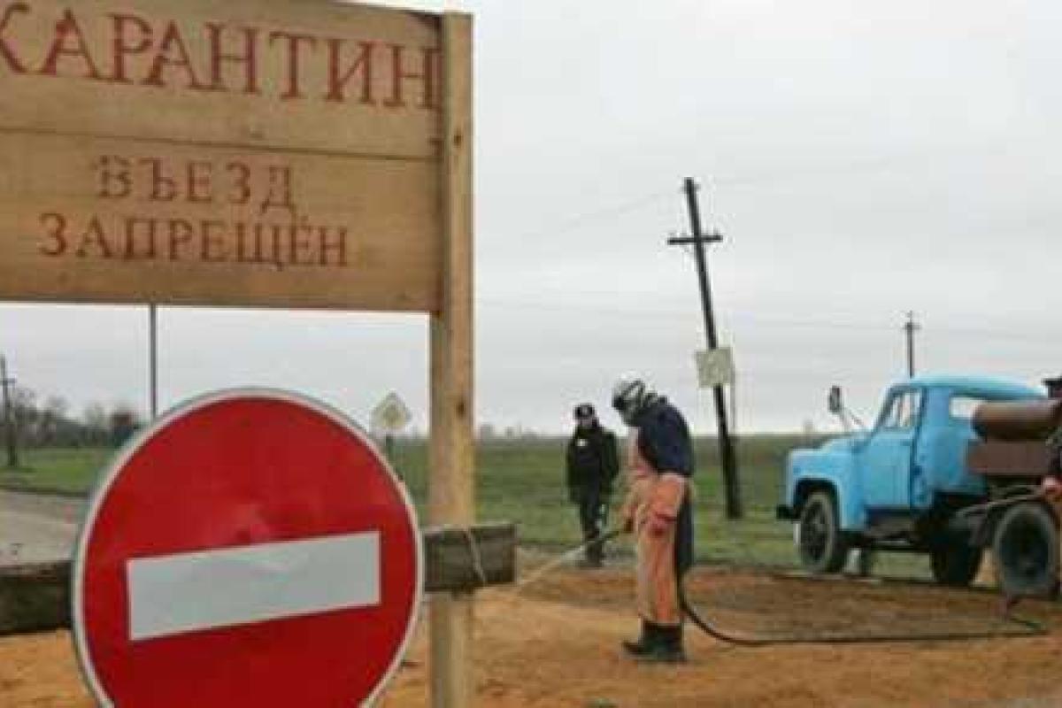 Возле Одессы зафиксировали страшный вирус Возле Одессы зафиксировали страшный вирус