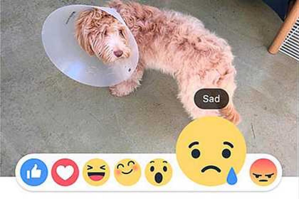 В Facebook лайки хотят заменить смайликами? В Facebook лайки хотят заменить смайликами?