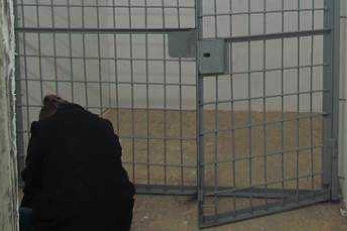 Преступники планировали похитить запорожского бизнесмена под видом "сотрудников СБУ"