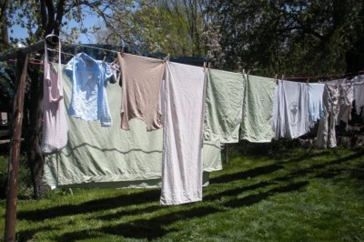 На Алтае две школьницы погибли от удара током, развешивая мокрое белье На Алтае две школьницы погибли от удара током, развешивая мокрое белье