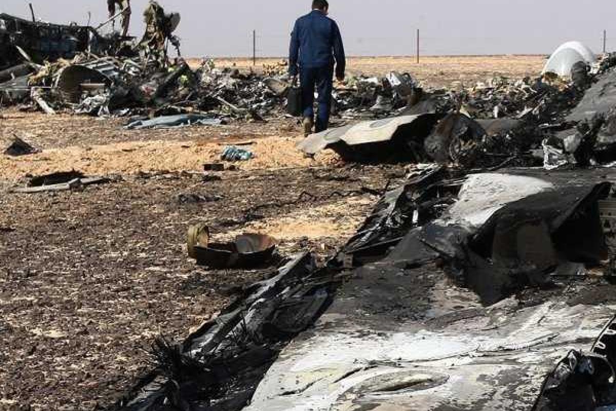 Участники поисковой операции на Синае пройдут принудительный курс реабилитации