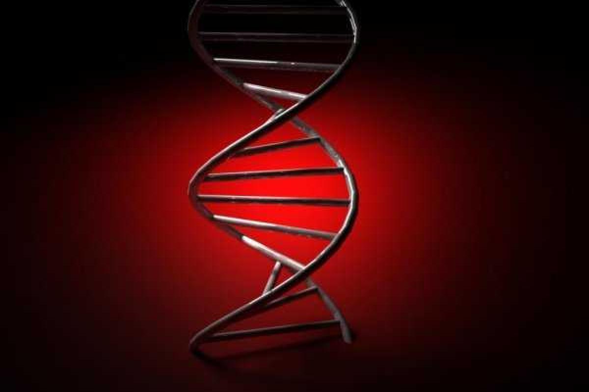 Ученые обнаружили в организме человека «часы смерти» 