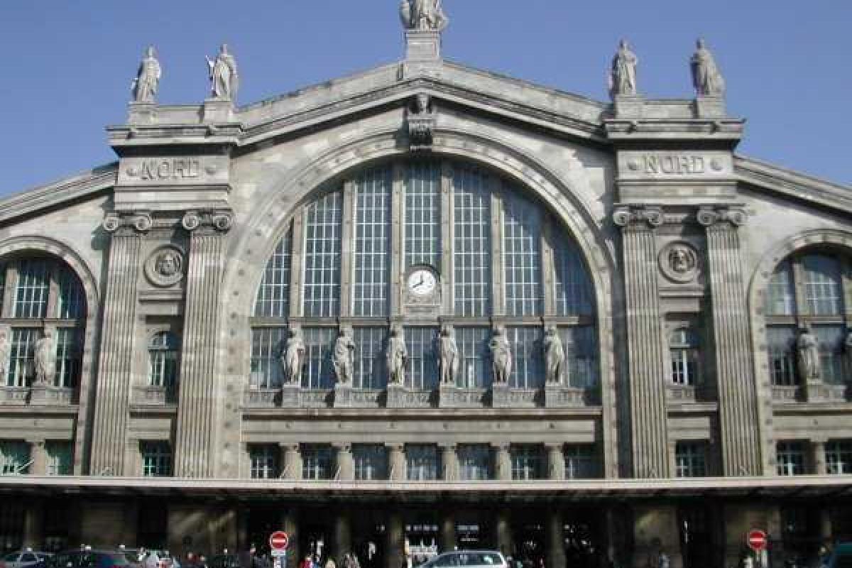 Вокзал в Париже эвакуировали из-за голубя, задевшего провода Вокзал в Париже эвакуировали из-за голубя, задевшего провода