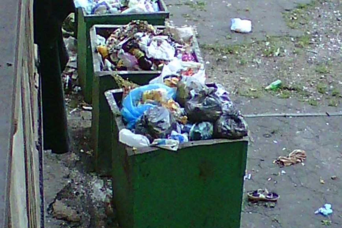 В Мариуполе жители азовмашевского общежития задыхаются от зловония и пугаются мертвых крыс В Мариуполе жители азовмашевского общежития задыхаются от зловония и пугаются мертвых крыс