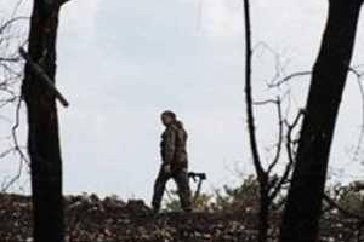 Тандит назвал количество украинских пленных Тандит назвал количество украинских пленных