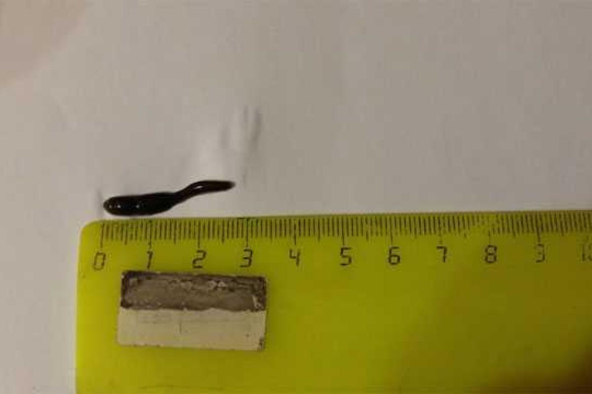 Жители Забайкалья в шоке: из водопроводных кранов лезут пиявки Жители Забайкалья в шоке: из водопроводных кранов лезут пиявки