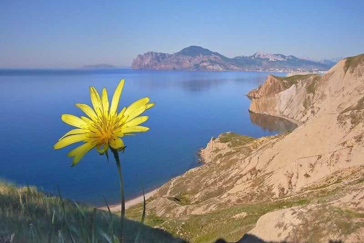 Известный астролог посоветовал всем, кто желал умереть в России, срочно покинуть Крым Известный астролог посоветовал всем, кто желал умереть в России, срочно покинуть Крым