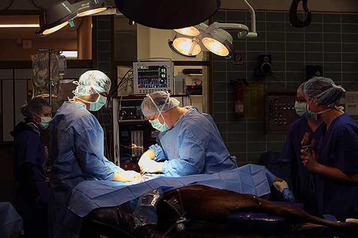 В США человеку впервые пересадили лицо