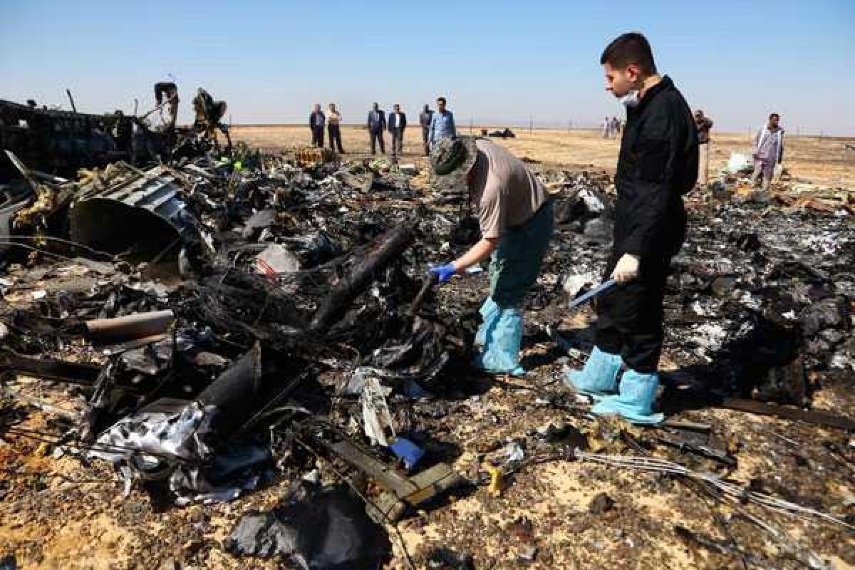 Трое пассажиров А321 были под наркотиками, - судмедэксперты