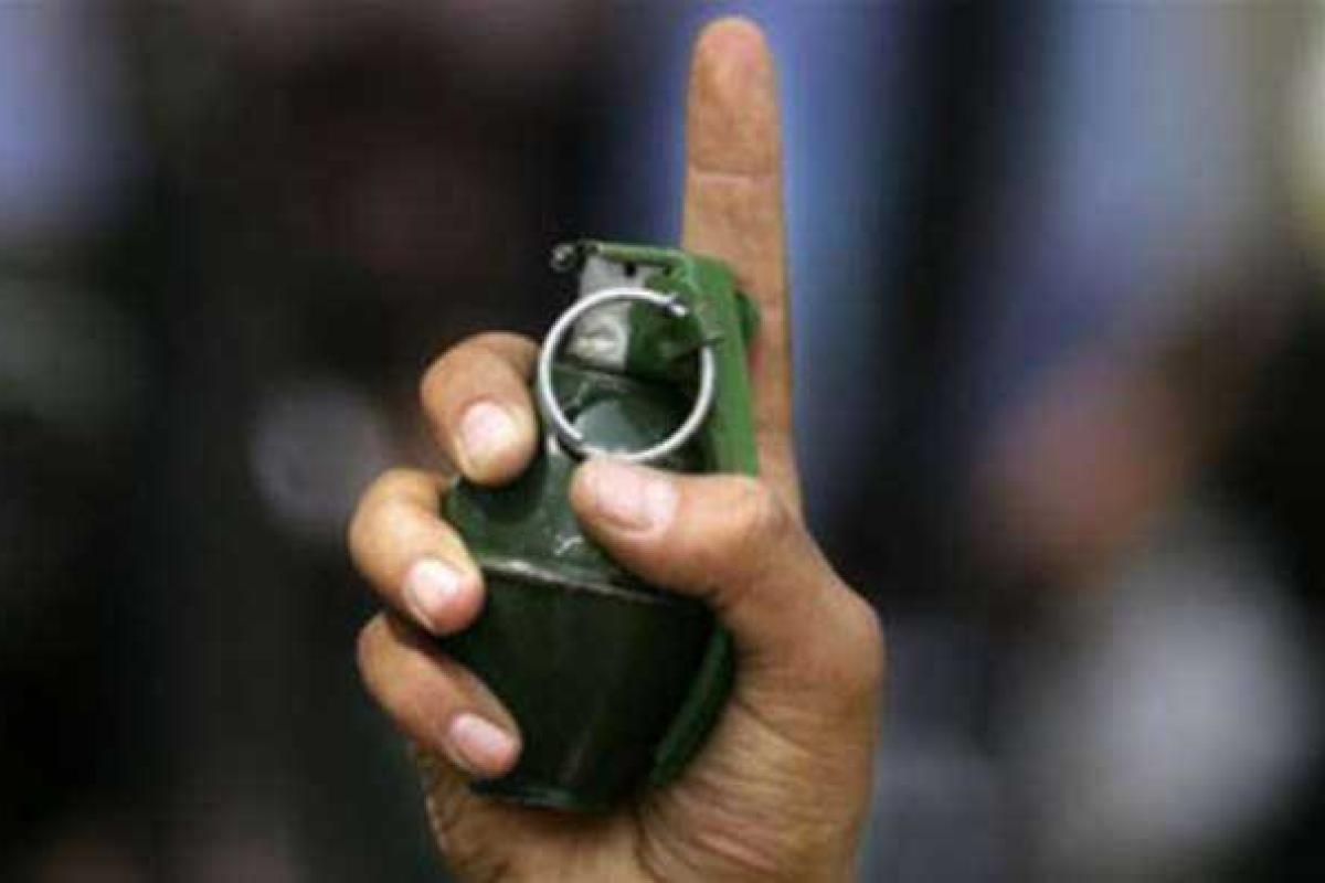 Двор дома адвоката Шапакина забросали гранатами, разорвало собаку