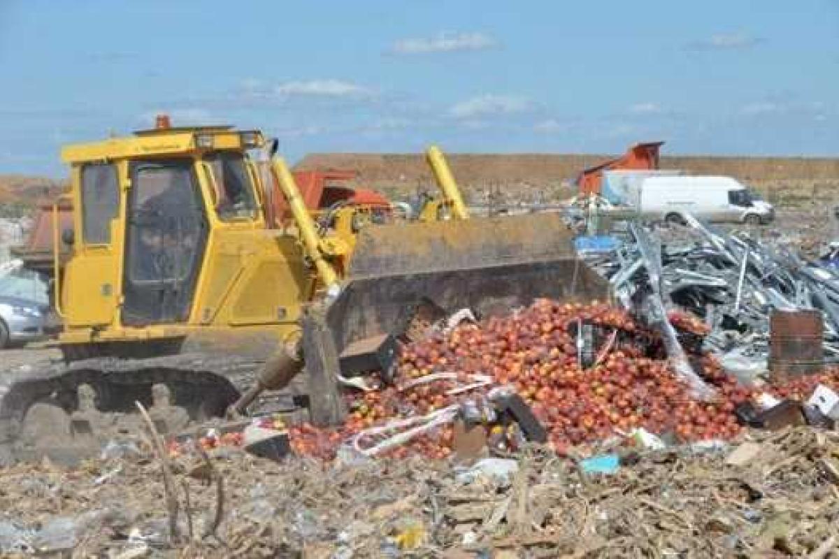 Верховный суд РФ проверит законность уничтожения «санкционной» еды