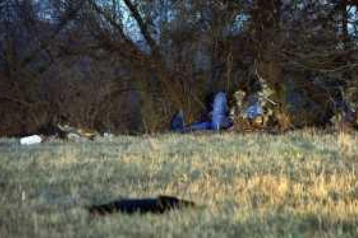 Крушение украинского Ми-2: количество жертв увеличилось