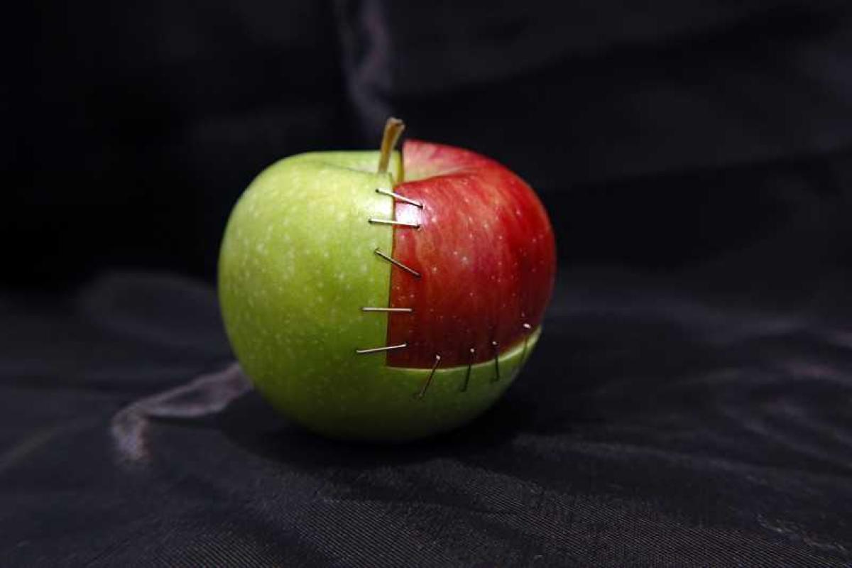 Почему успешные люди роются в мусорниках, или Кто такие фриганы