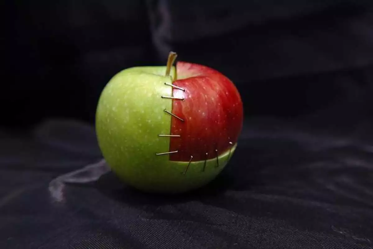 Почему успешные люди роются в мусорниках, или Кто такие фриганы