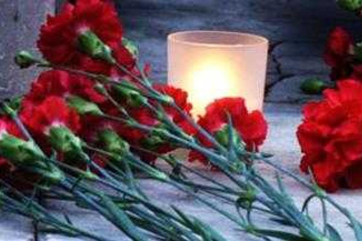 В Петербург доставили тела 144 пассажиров, погибших в авиакатастрофе над Синайским полуостровом В Петербург доставили тела 144 пассажиров, погибших в авиакатастрофе над Синайским полуостровом