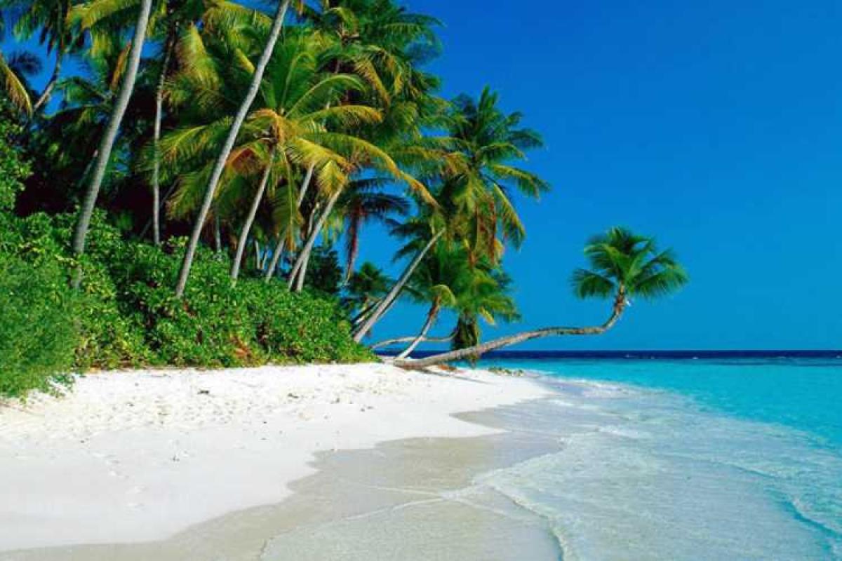 Российским туристам предлагают вместо Гоа отдыхать во Вьетнаме 