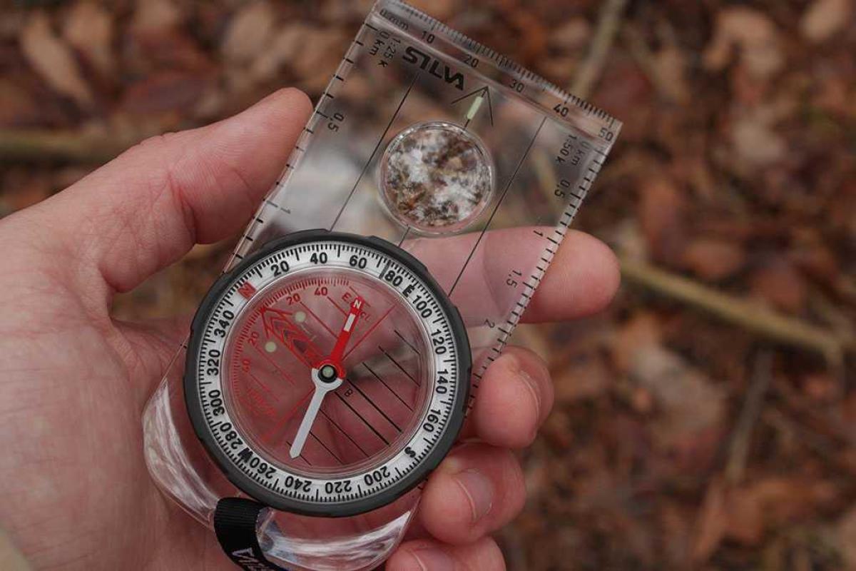 Грузин с компасом и едой шел через Беларусь в ЕС