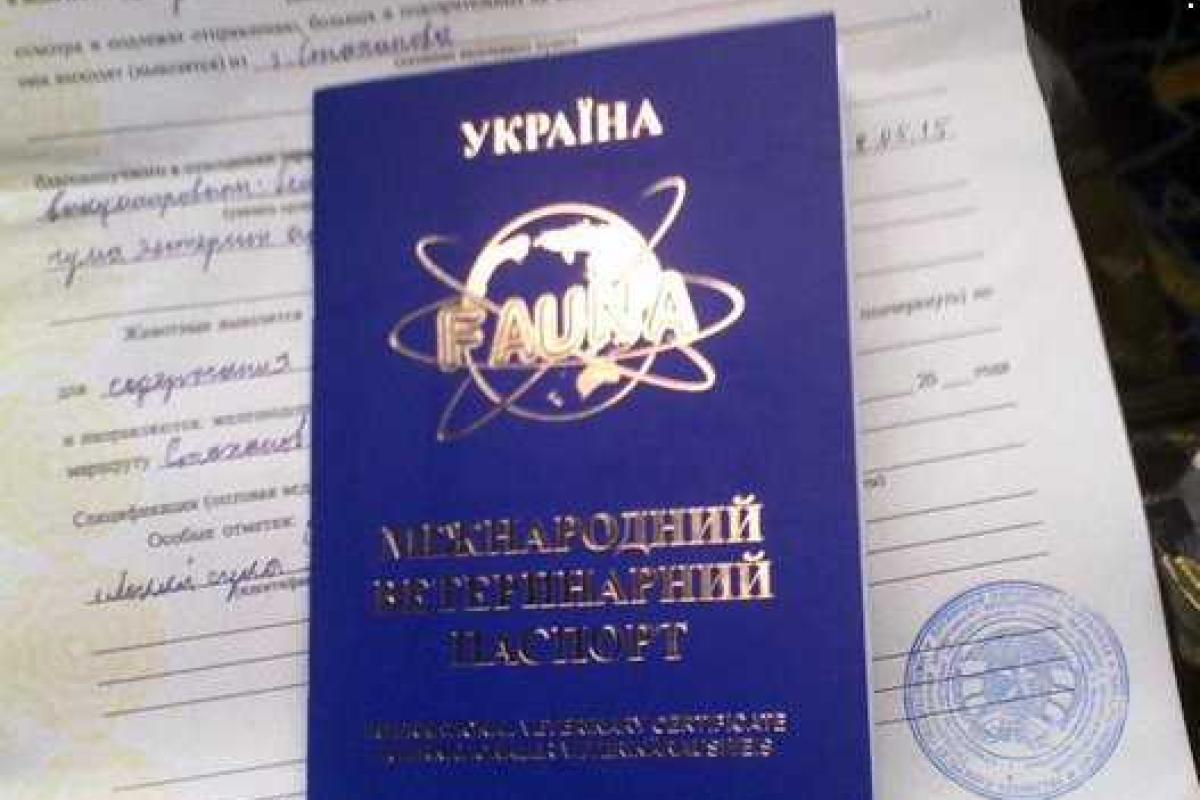 В «ЛНР» выдают собачьи паспорта на украинских бланках В «ЛНР» выдают собачьи паспорта на украинских бланках