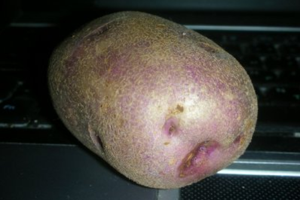 Британка получила инфаркт от удара картофелем