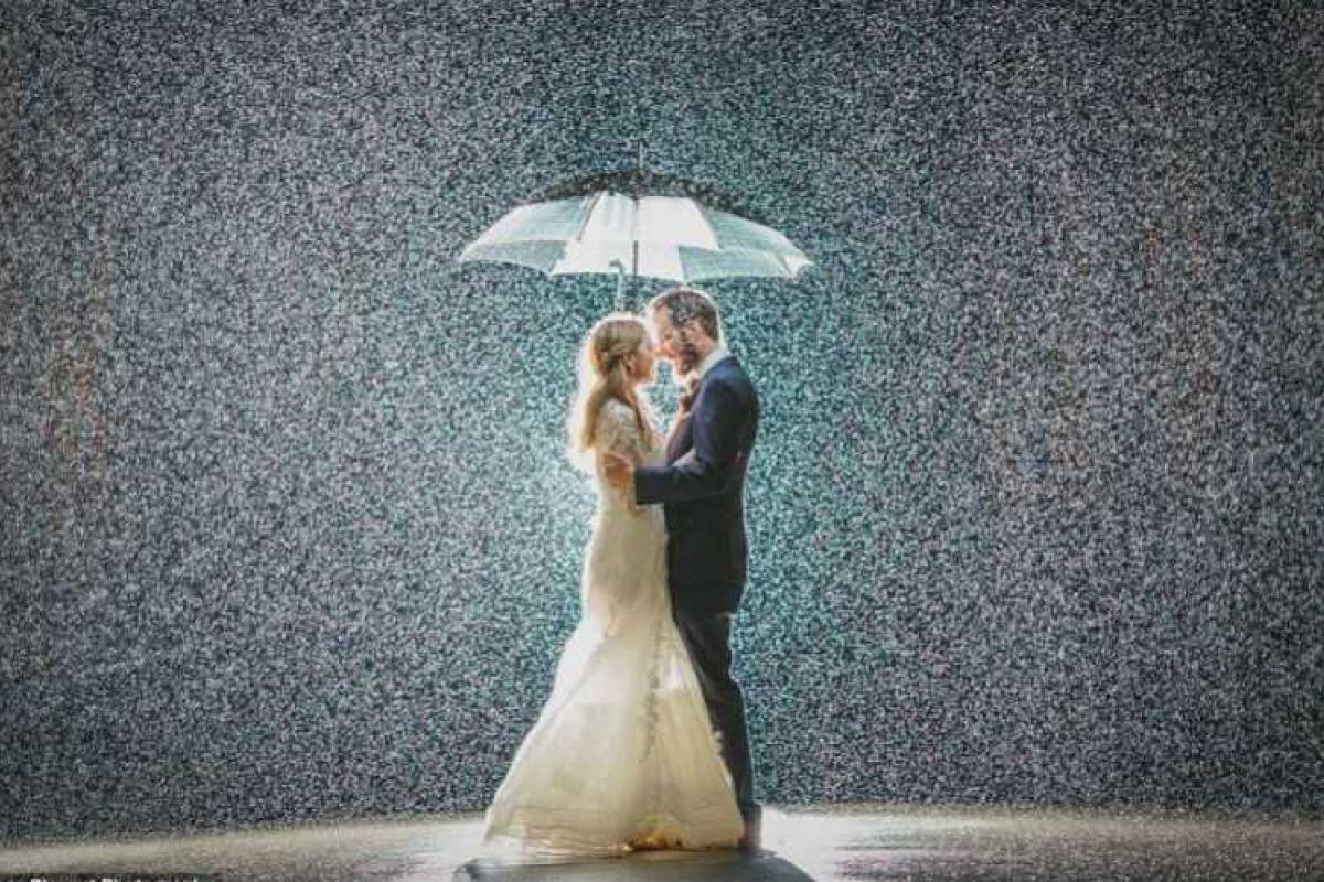 Интернет покорила самая сказочная свадебная фотография