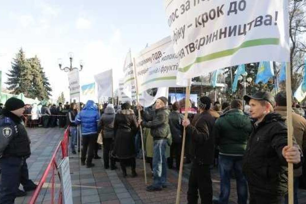 Под зданием ВР митингующие аграрии похоронили свинью Под зданием ВР митингующие аграрии похоронили свинью