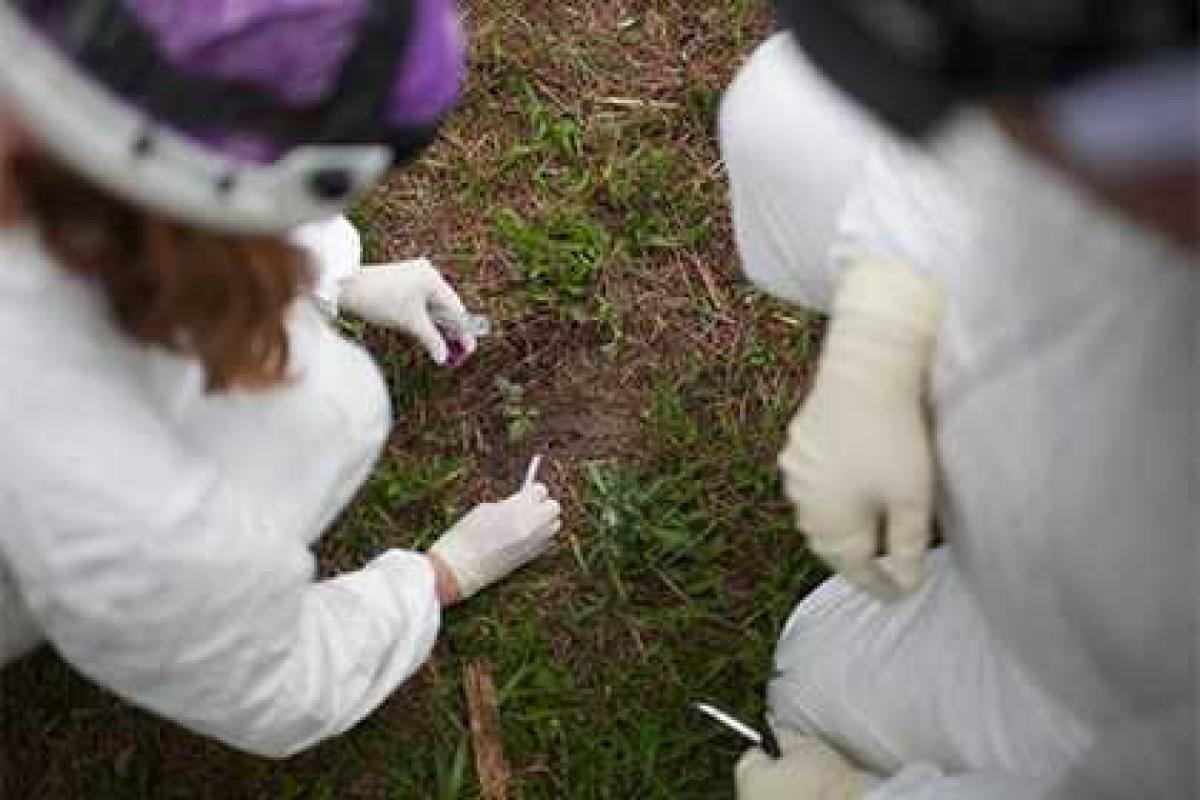 Ученые изобрели часы, которые определяют точное время смерти