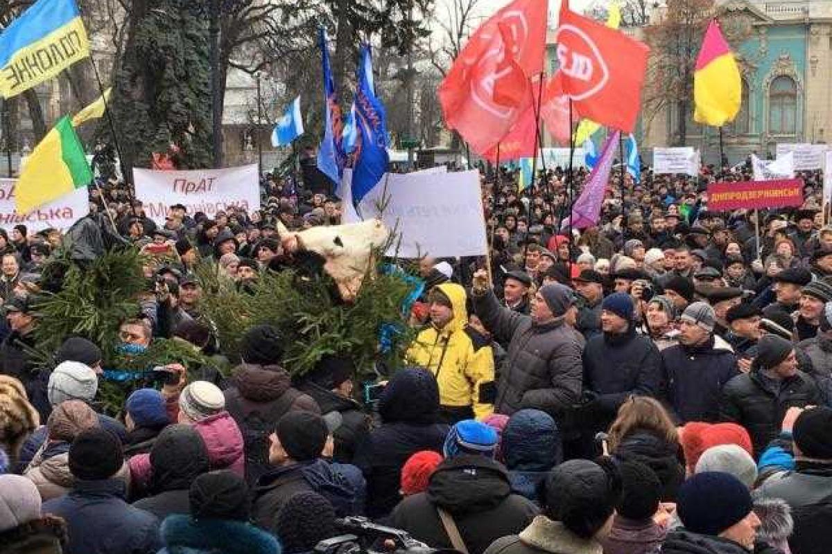 Ёлки под ВР «украсили» отрезанными коровьими головами Ёлки под ВР «украсили» отрезанными коровьими головами