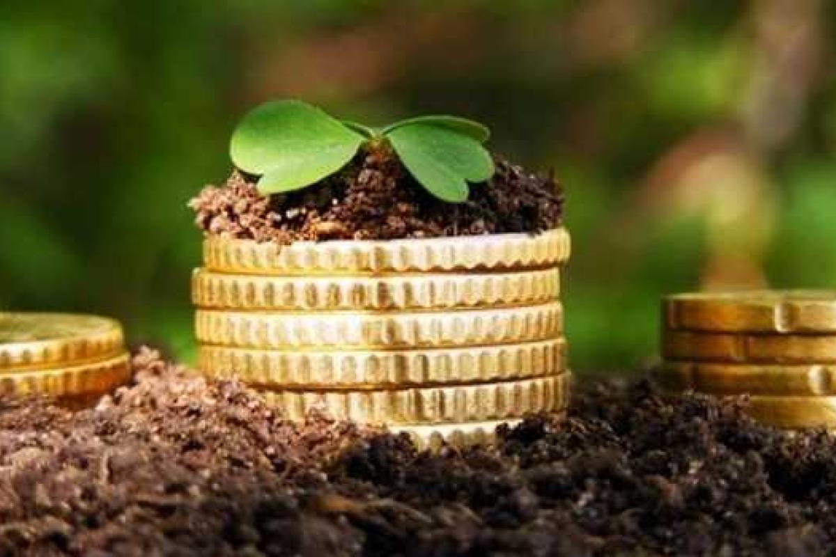 Рада приняла изменения в Бюджетный кодекс относительно целевого направления экологического налога Рада приняла изменения в Бюджетный кодекс относительно целевого направления экологического налога