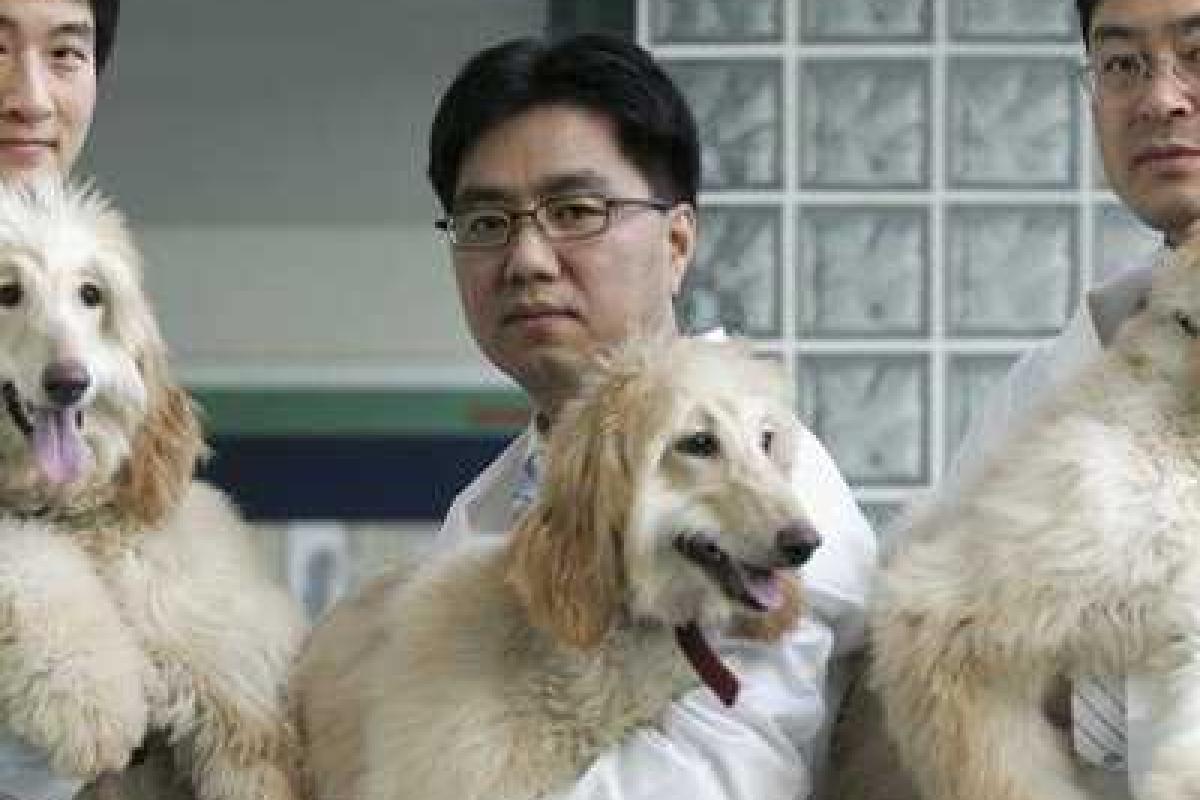 Китайские ученые готовы к массовому клонированию людей 