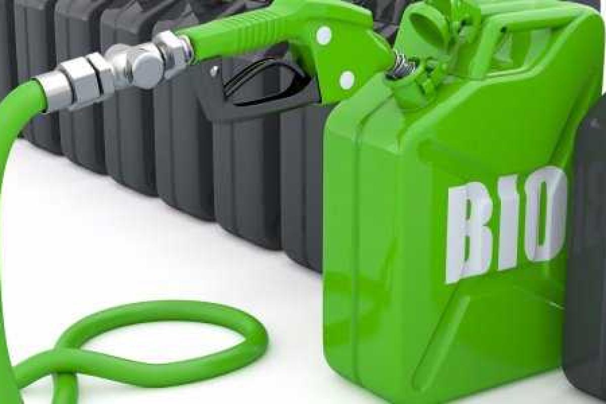 Украинские ученые изобрели новый способ производства биотоплива из растений