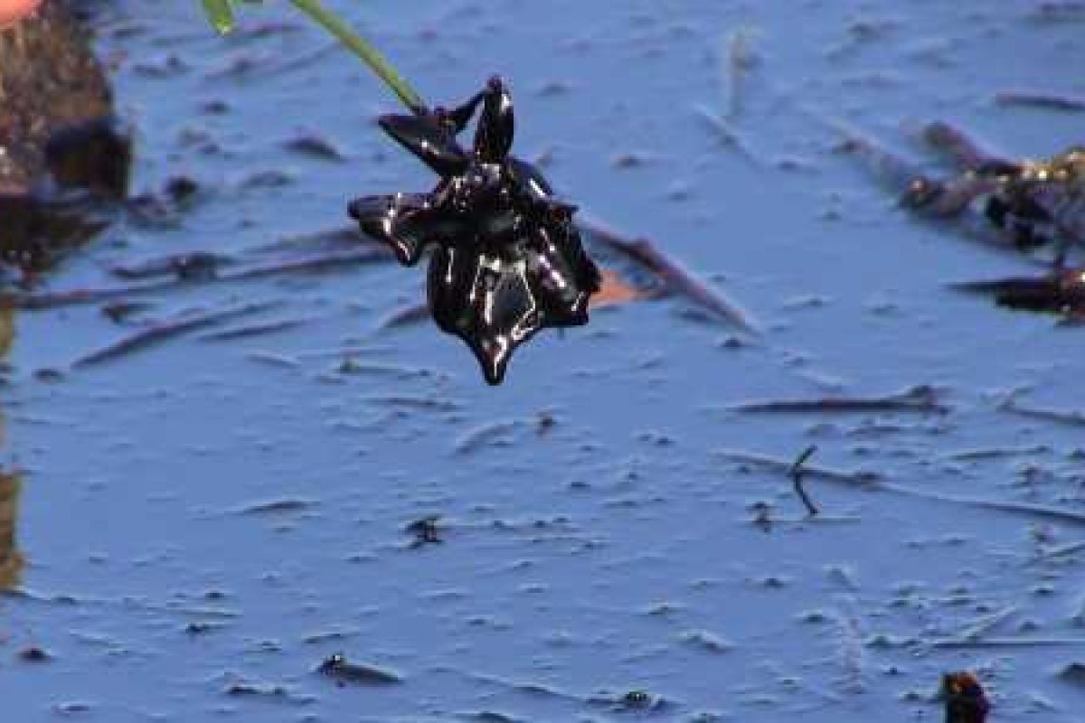 В Оренбургской области РФ прорвало нефтепровод