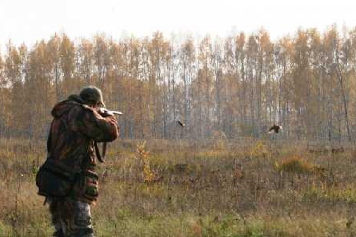 На Ямале оленеводы-проводники в перестрелке убили двух менеджеров «Газпрома» 