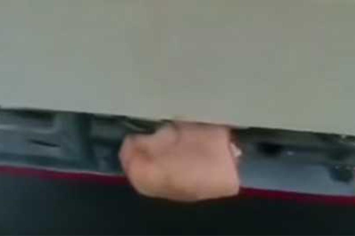 В Европе дальнобойщики отпугивают нелегалов свининой В Европе дальнобойщики отпугивают нелегалов свининой