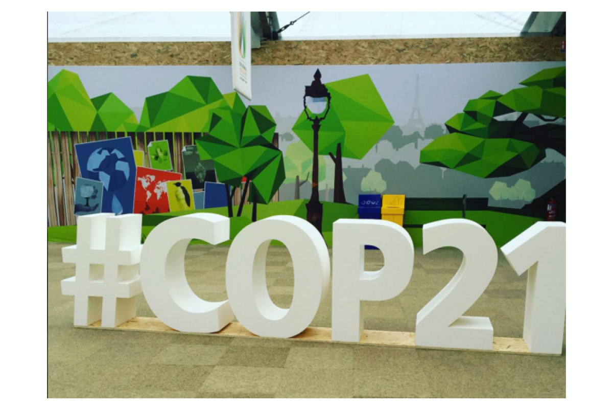 Участники конференции ООН одобрили новое глобальное соглашение по климату