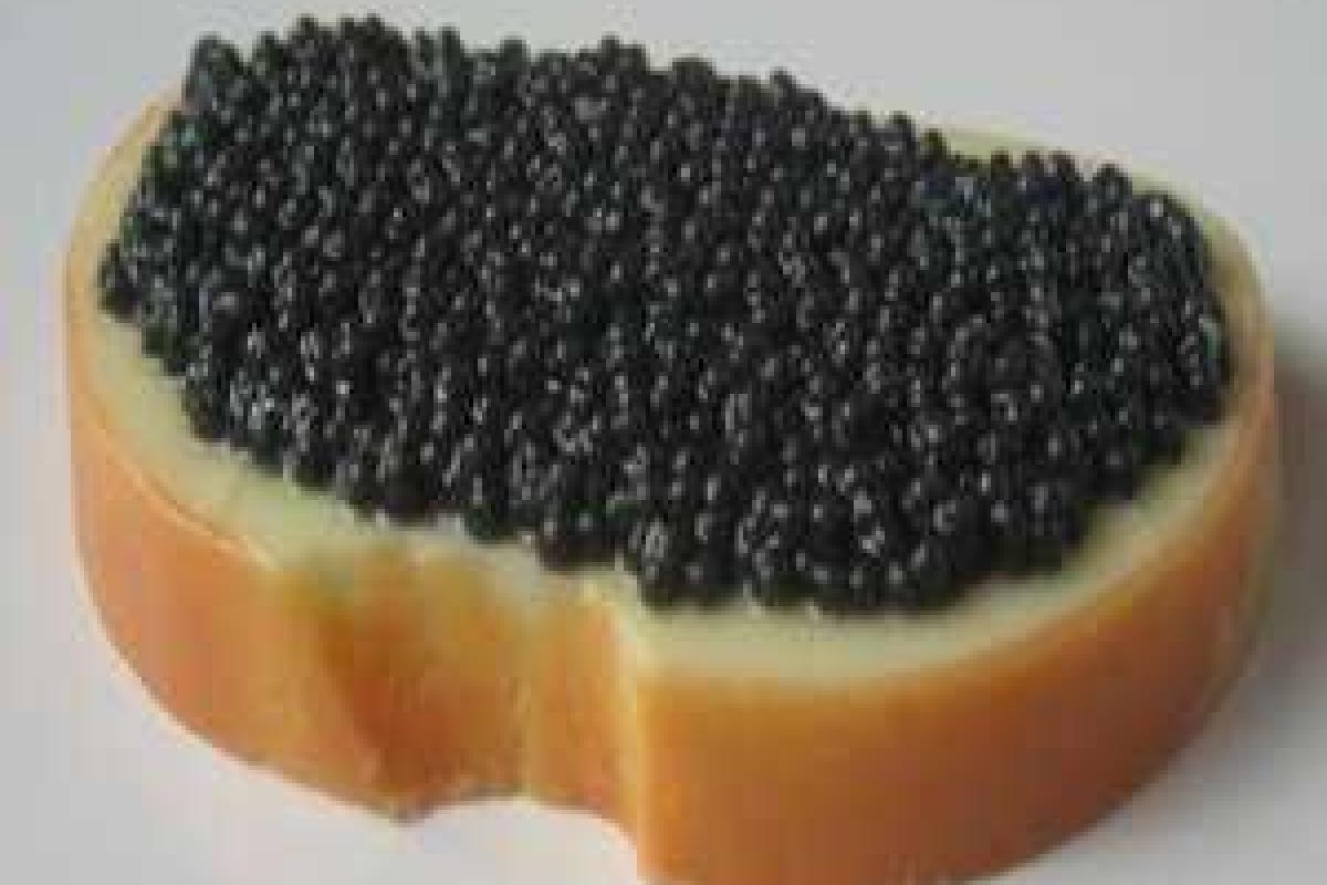 В Крыму собираются производить черную икру В Крыму собираются производить черную икру