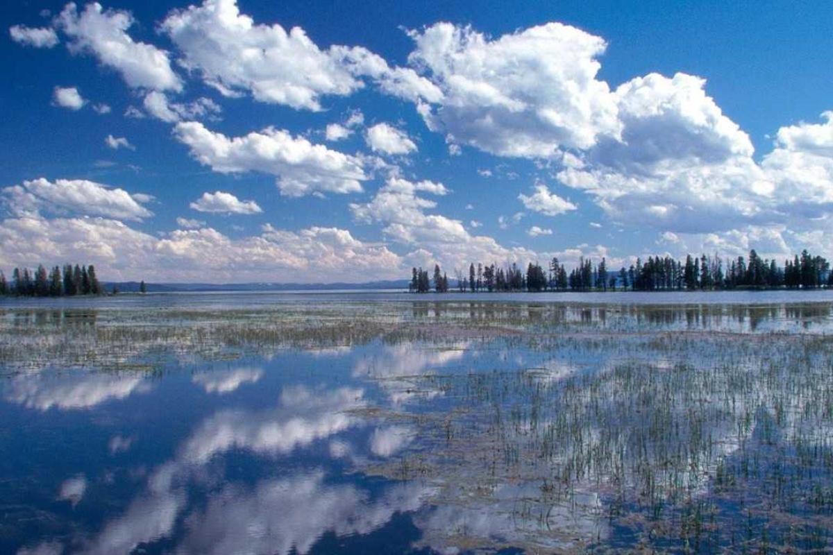 Ученые: озеро Йеллоустоуна - бомба замедленного действия