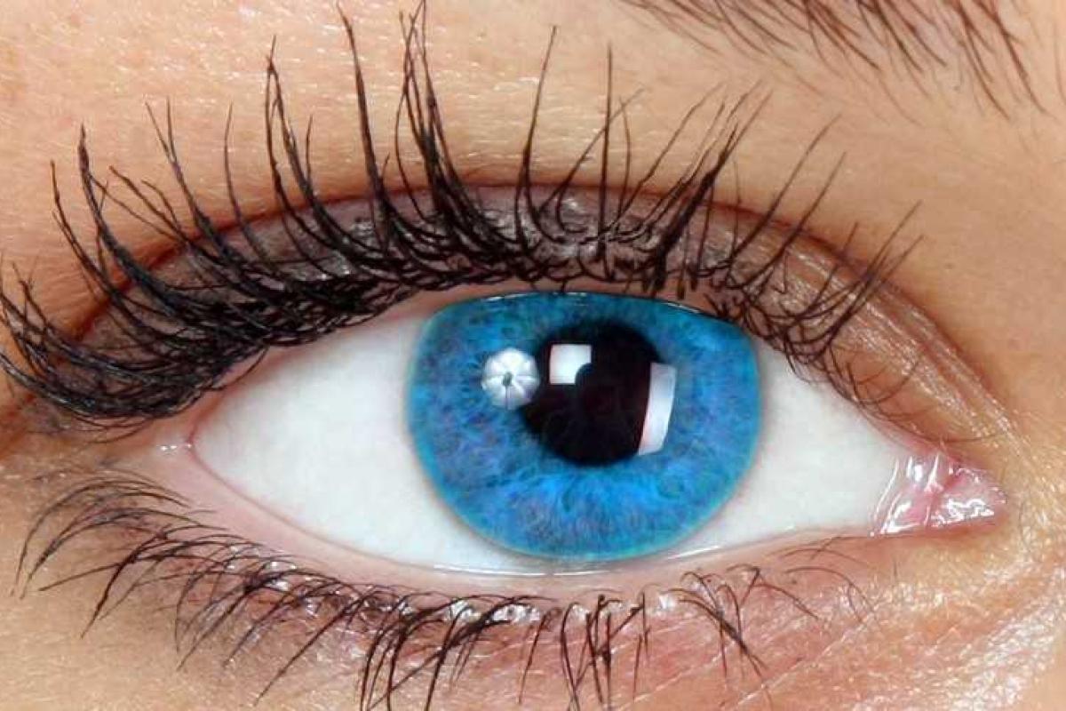 Ученые выяснили, что все голубоглазые люди являются 400-юродными братьями и сестрами