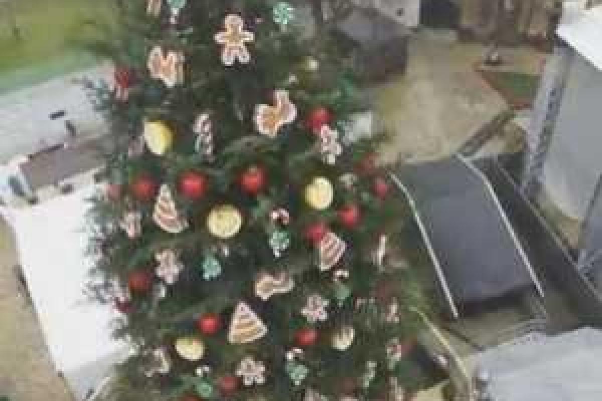 Главную новогоднюю елку показали с высоты птичьего полета. Видео Главную новогоднюю елку показали с высоты птичьего полета. Видео