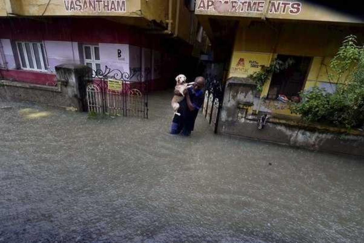 В Индии 14 пациентов больницы погибли в результате наводнения