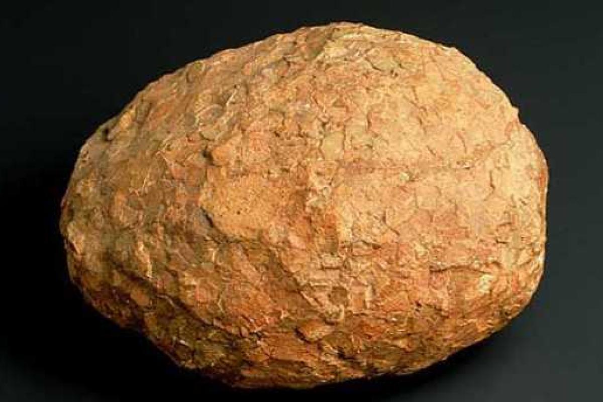 Аргентинец нашел гигантское окаменелое яйцо древнего животного 10000-летней давности Аргентинец нашел гигантское окаменелое яйцо древнего животного 10000-летней давности