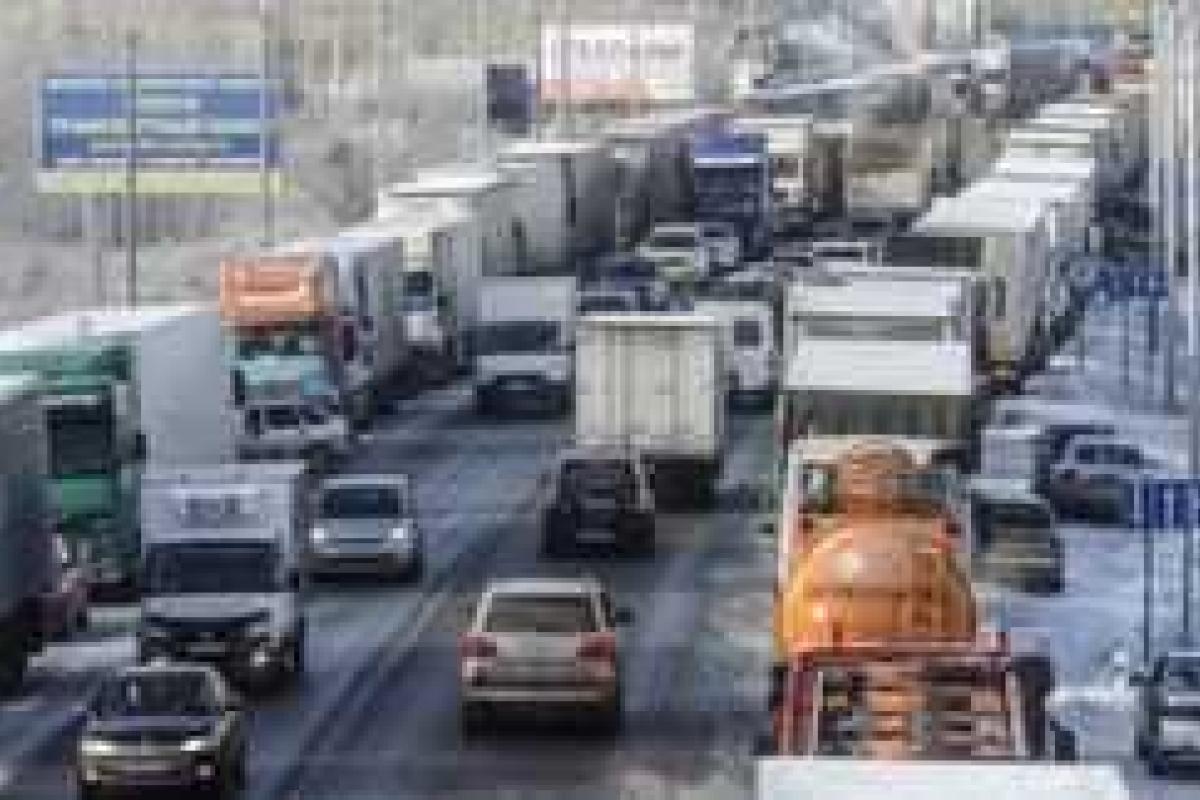 К. Боровой: В России началась конкуренция голодных