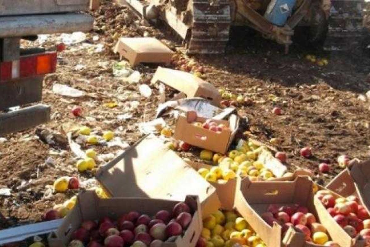 57 тонн белорусских фруктов уничтожили в России